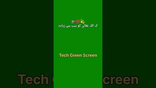Allah ki pasand 🌺 Islamic status | Green screen poetry | urdu shayari | @techgreenscreen #hindi