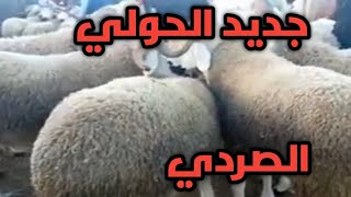 جديد الحولي الصردي : الجودة بمعنى الكلمة في الأسواق المغربية ??