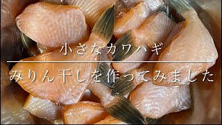 堤防から釣れるサイズのカワハギを干物にしてみました 魚釣り系you Tuberまとめサイト Fishing