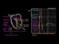 EKG’de Normal Sinüs Ritmi (Fen Bilimleri) (Sağlık ve Tıp)