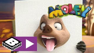 Moley Meet The Characters Boomerang Uk