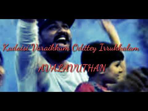 Meesaiya Murukku || Motivational Dialogue || Whatsapp Status || Tamil