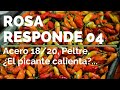 ROSA RESPONDE 04 ¿Acero 18/20? ¿Peltre? ¿El picante calienta?