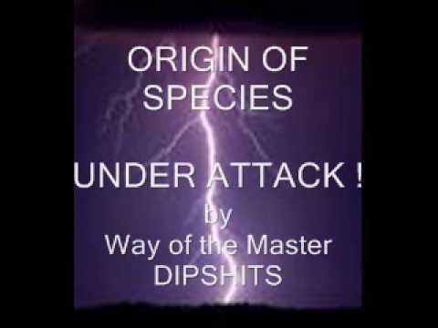 WOTM ASSAULTS ORIGIN OF SPECIES NOV 19