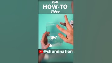 The ULTIMATE Guide to Shumi POP Protectors is Out Now! #shorts