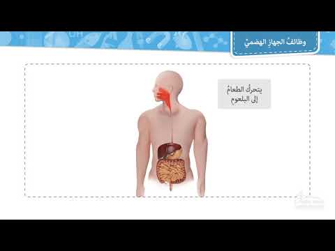 فيديو: ما هي وظائف الجهاز اللوحي