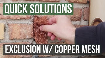 Quick Solutions: How to Use Stuf-Fit Copper Mesh to Exclude Rats & Mice