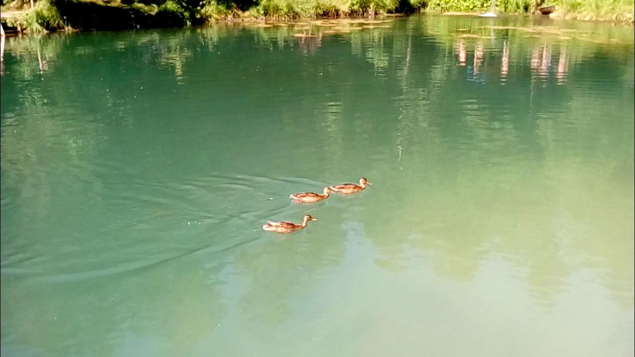 В Роспотребнадзоре рассказали, в каких калужских водоемах можно купаться