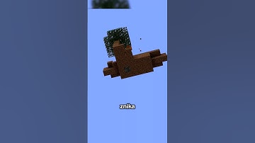skyblock w 45 sec