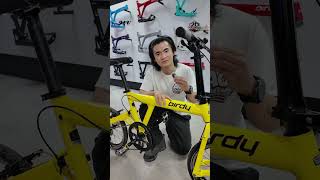 Classics never fade... they just get an upgrade!