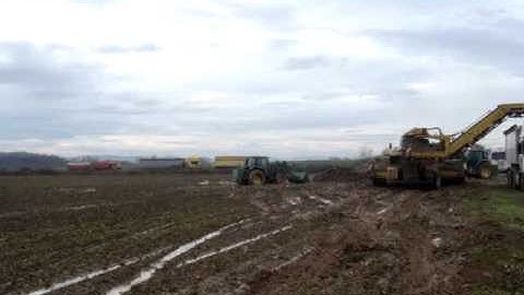 Loading sugarbeet 1