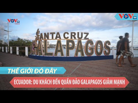 Video: Cách Tham quan Quần đảo Galapagos với Ngân sách