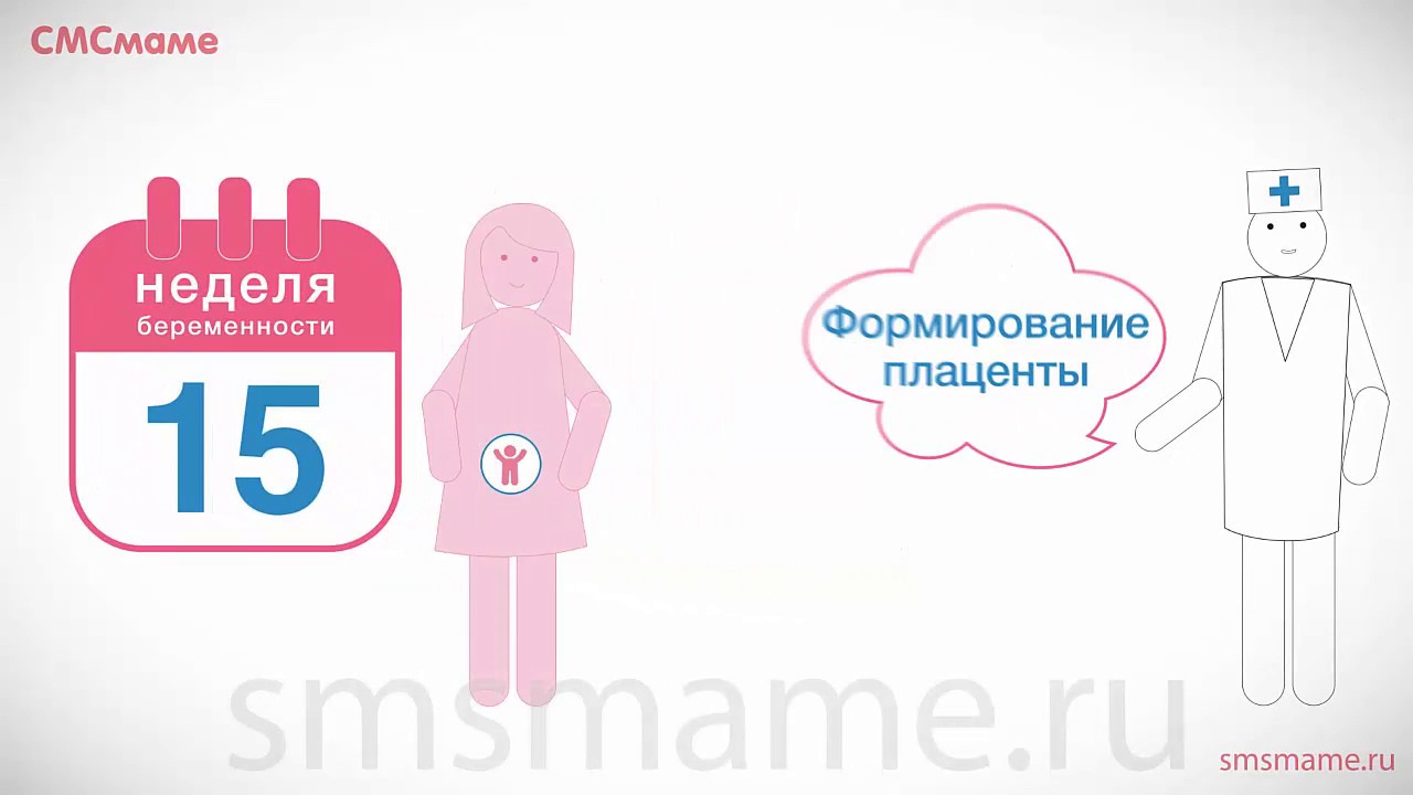 15 неделя беременности - лишний вес и физические нагрузки