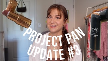 Project Pan Update #3