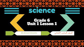 Science | Grade 6 | First Term - YouTube