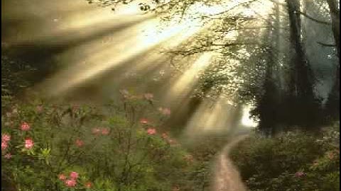 سوره البقره مده 15 دقيقه ماهر المعيقلي