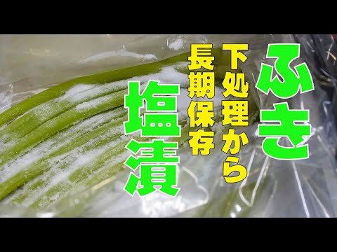 ふきの長期保存！この方法で通年いつでも使えて常備菜には困らない？
