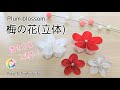 【折り紙】置いて飾れる梅の花(立体)/置き方は2通り!/How to make origami「Plum blossom」.