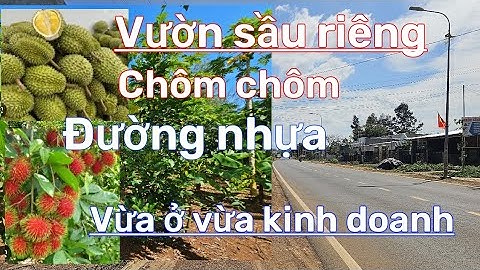 Chủ ngộp ngân hàng bán gấp đất vườn mặt tiền nhựa vừa ở vừa kinh doanh ở định quán đồng nai.