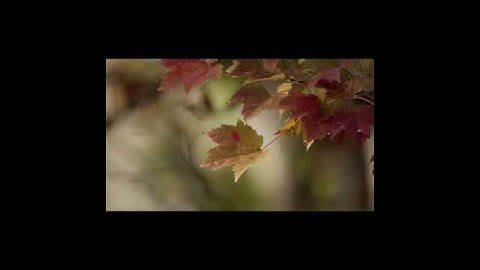 A Course in Miracles: Complete and Annotated Edition (Clip #6)