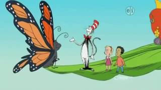 The Cat in the Hat 72 Flutter By Butterfly