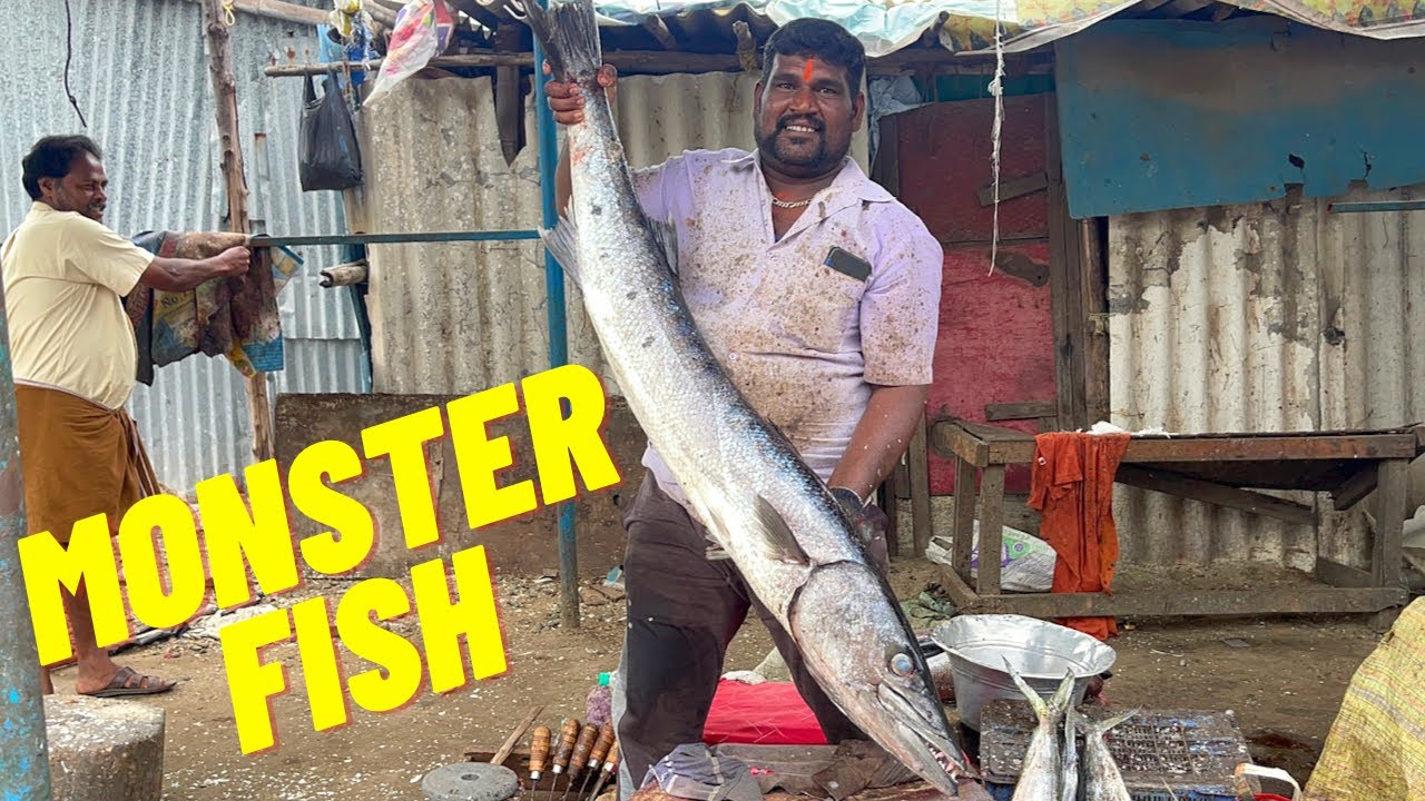 LONGEST FISH CUTTING FISH CUTTING SKILLS FISH CUTTING VIDEOS 