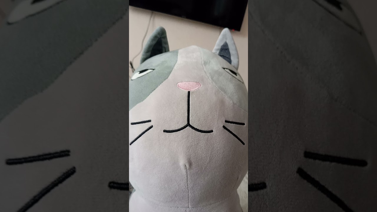 26 февраля 2026 г.