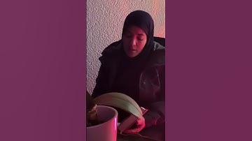 تلاوة تحت أمطار غزيرة و راحة نفسية..#قرآن #القران_الكريم #تلاوات  #اكسبلور #المغرب #مصر #تطوان