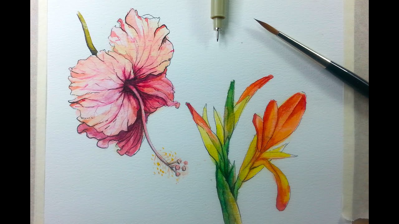 Drawing & Painting Hibiscus Flower with Ink & Watercolor - YouTube