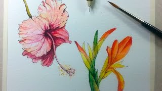 Drawing & Painting Hibiscus Flower with Ink & Watercolor screenshot 1