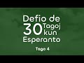 Defio de 30 Tagoj kun Esperanto | Kvara tago.