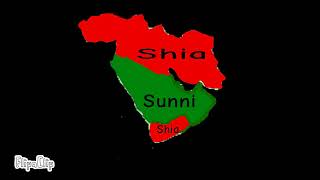 Shia muslims vs sunni muslims (ignore israel plz)