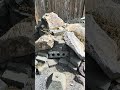 The Aggro Crag Lives!! #scx24 #rcrockcrawler