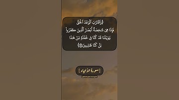 سورة الأنبياء الآية ٩٧ الى ٩٩ بصوت الشيخ محمد صديق المنشاوي