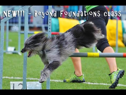 NEW!!! - BeyondFoundations online class Trailer