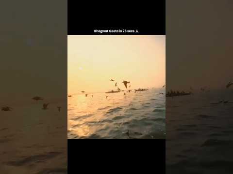Bhagwat Geeta in 28 seconds#shorts#bhagwatgeeta#hitarthedits