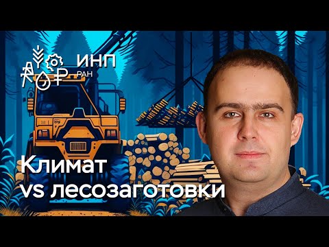 Как изменение климата влияет на объемы лесозаготовок в регионах Сибири?