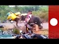 Elephant goes on rampage, flipping 27 vehicles, India