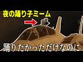 【加速】ジェット機の上では踊らない方がいい【夜の踊り子】
