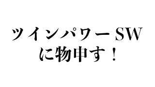 ツインパSWにステラSWユーザーが物申す！