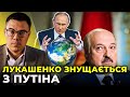 Путін готується анексувати Білорусь та Молдову. Лукашенко готує військову відсіч? / БЕРЕЗОВЕЦЬ