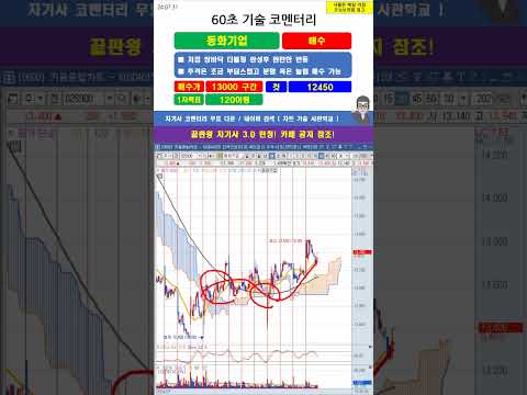 [60초 코멘터리] #<strong>동화기업</strong> 주가 매매전략 240731