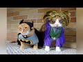 Hilarious PETS IN COSTUMES will make you LAUGH!