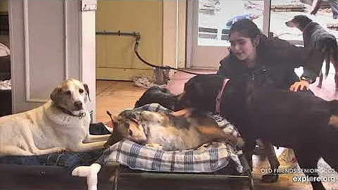 OFSDS Veronica/Rainey Boop GuardianEllie Won't GoT...