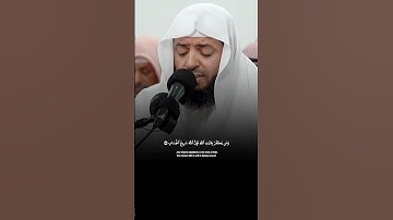تلاوة عذبة تشرح الصدر لآيات بينات من #سورة_آل_عمران بصوت القارئ الشيخ #وديع_اليمني