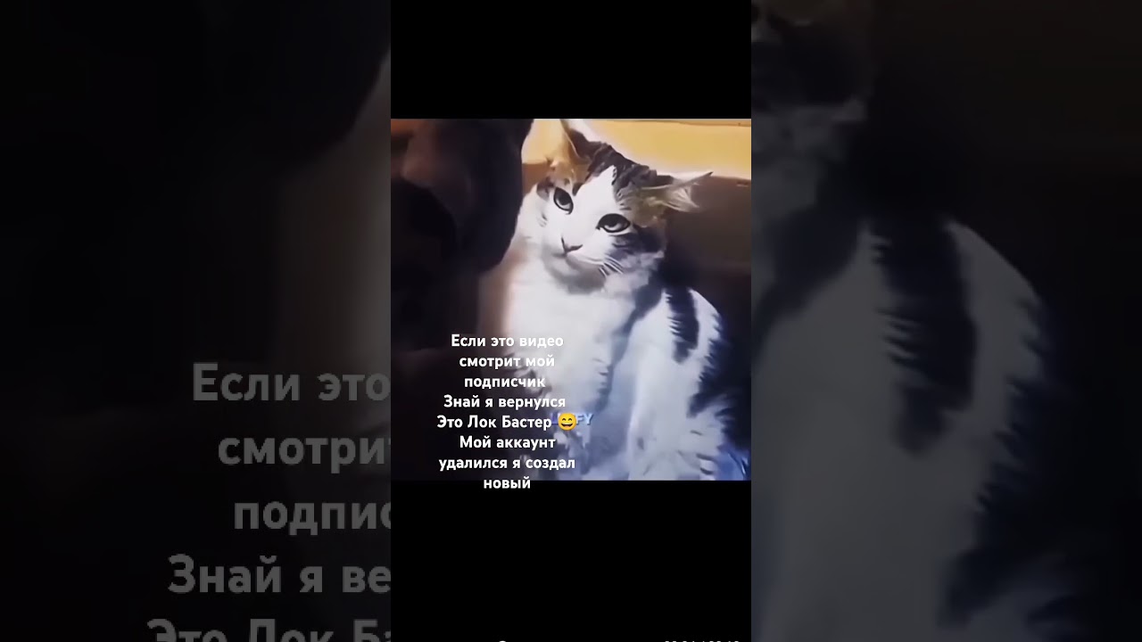 Это я Лок Бастер😄😄😄😄😄😄😄😄😄😄😄😄😄😄😄😄😄😄я вернулся 😄😄😄😄😄