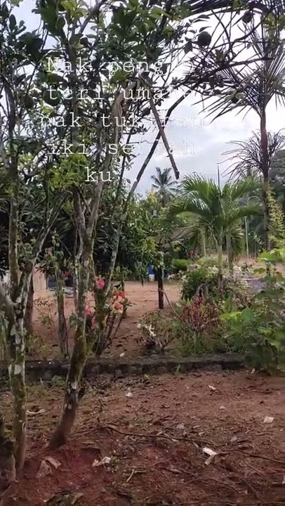 STORY WA KEREN 30 DETIK || DENY CAKNAN MADIUN NGAWI || STORY WA TERBARU