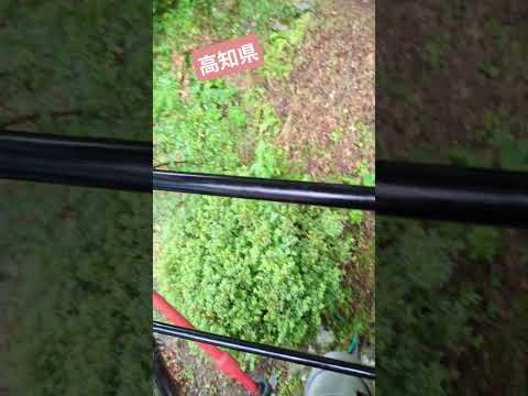 【高知県】インクライン　水を抜いて上がり、給水して下るそうです_φ(･_･　音注意　#インクライン　#馬路村　　##よんなー旅　#旅　#高知県 #hellookinawa #hellokouchi