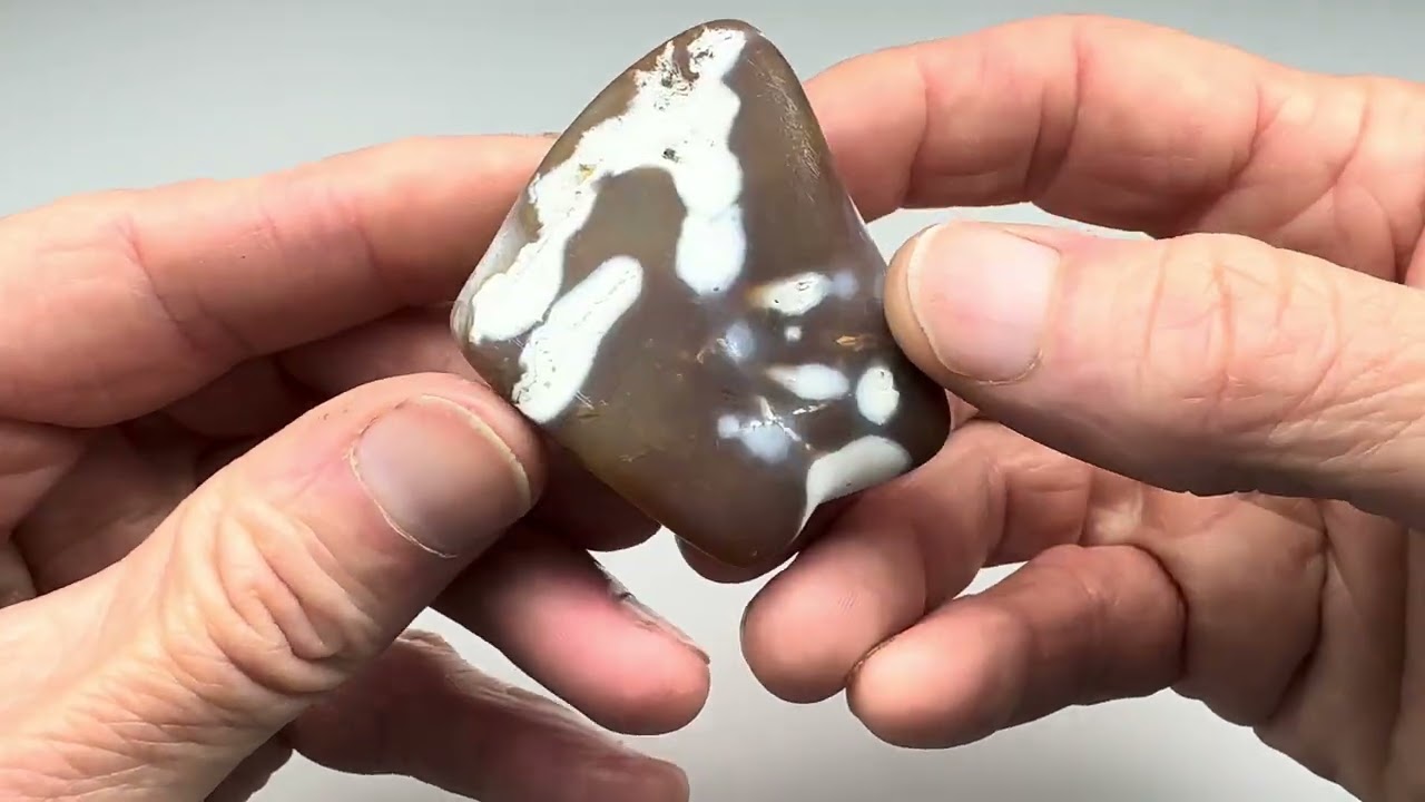 How Well Will it Tumble? - Fossilized Coral