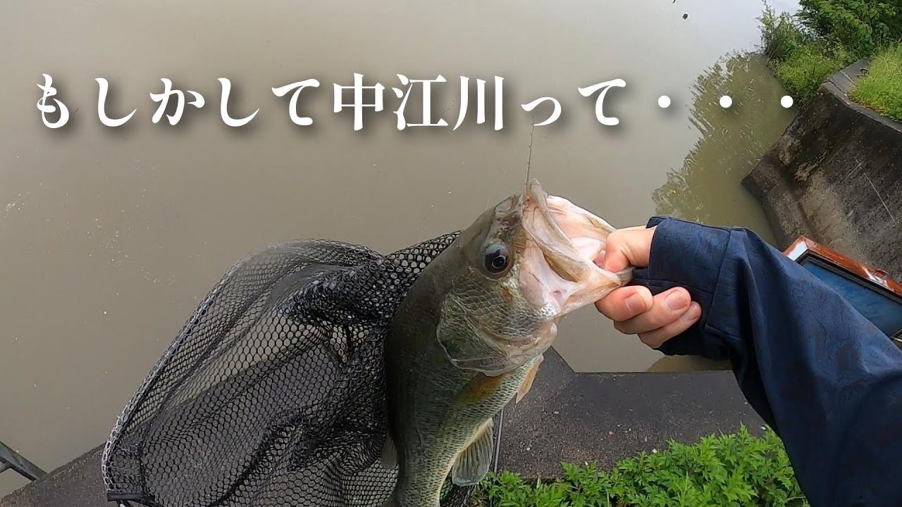 大江川より簡単に釣れる【中江川】